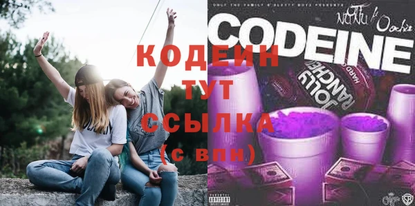 apvp Вуктыл