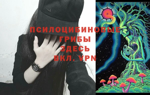 MESCALINE Алзамай
