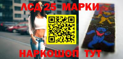 СК Новодвинск