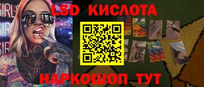 СК Новодвинск
