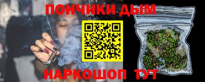 СК Новодвинск