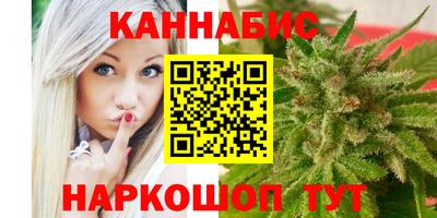 СК Новодвинск