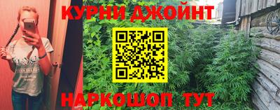 стафф Новокубанск