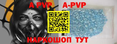 СК Новодвинск