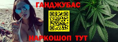 СК Новодвинск