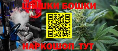 СК Новодвинск