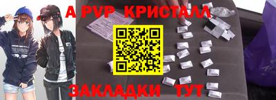 СК Новодвинск