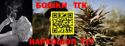 СК Новодвинск