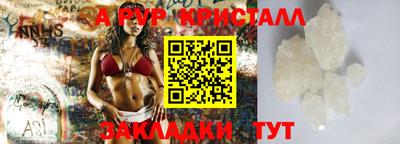 СК Новодвинск