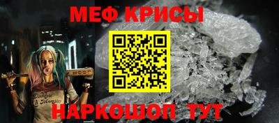 СК Новодвинск