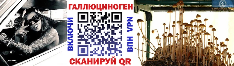 сколько стоит  кракен ссылки  Псилоцибиновые грибы MAGIC MUSHROOMS  Бирск 