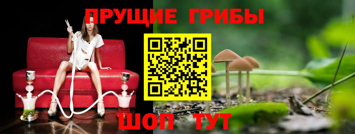 Галлюциногенные грибы GOLDEN TEACHER  хочу наркоту  Бирск  Вход с VPN  Галлюциногенные грибы мицелий 